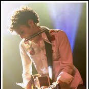 Jeremy Fisher - List pictures