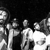 Mystic Revealers - List pictures