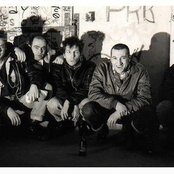 Molodoi - List pictures