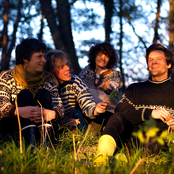 Kråkesølv - List pictures