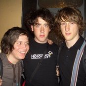 Wombats - List pictures