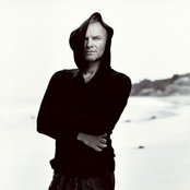 Sting - List pictures