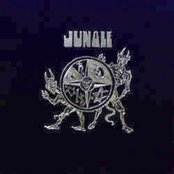 Jungle - List pictures