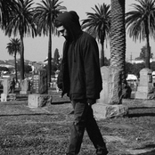 Gossamer - List pictures