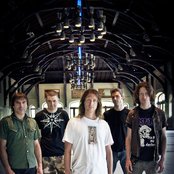 Grim Skunk - List pictures