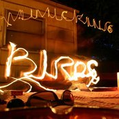 Mimicking Birds - List pictures