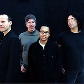 Yellowjackets - List pictures