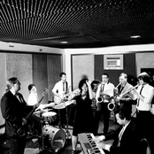 The Bamboos - List pictures