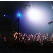 Element Eighty - List pictures