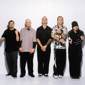 Snot - List pictures