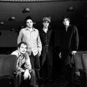 Wilco - List pictures