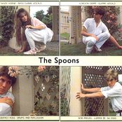 Spoons - List pictures