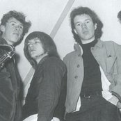 The Wilde Flowers - List pictures