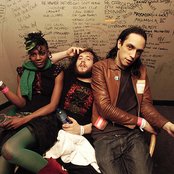 Noisettes - List pictures