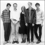 Camper Van Beethoven - List pictures
