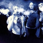 Krokodil - List pictures