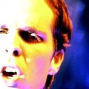 Quicksand - List pictures