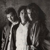 Alphaville - List pictures