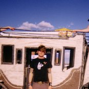 Coachwhips - List pictures