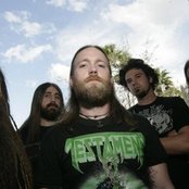 The Absence - List pictures