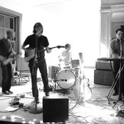 Violens - List pictures