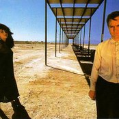 Cock Robin - List pictures