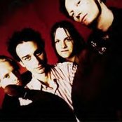 Cold - List pictures