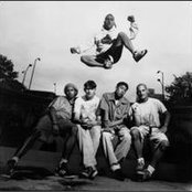 Shelter - List pictures