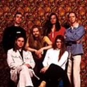 Spice - List pictures