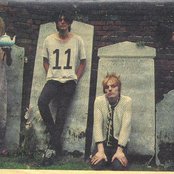 Daisy Chainsaw - List pictures