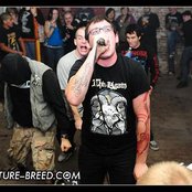 Revenge - List pictures