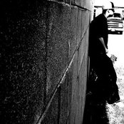 Rich Quick - List pictures