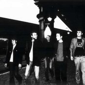 The Panics - List pictures