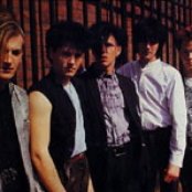 Vision - List pictures