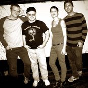 In Cages - List pictures