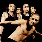 Breed 77 - List pictures