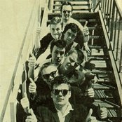 Madness - List pictures