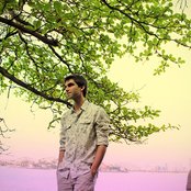 Silva - List pictures