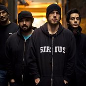 Taproot - List pictures