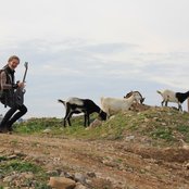 Avatar - List pictures