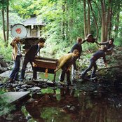 White Rabbits - List pictures