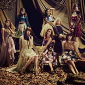 Flower - List pictures