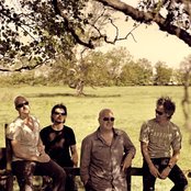 Blof - List pictures