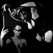 Die Form - List pictures