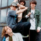 Animal Collective - List pictures