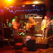 The Amber Herd - List pictures