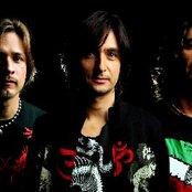 Jaguares - List pictures