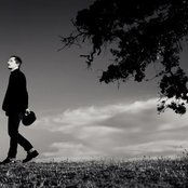 Shane Alexander - List pictures