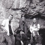 Acrimony - List pictures