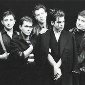 Litfiba - List pictures